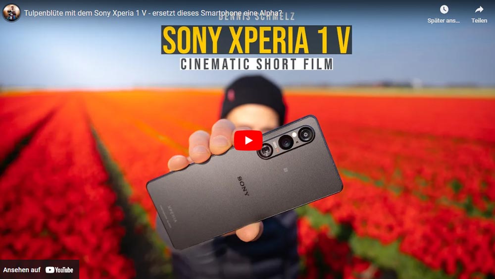 Tulpenblüte mit dem Sony Xperia 1 V  Dennis Schmelz